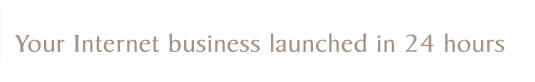 Your Internet Business Launched in 24 Hours